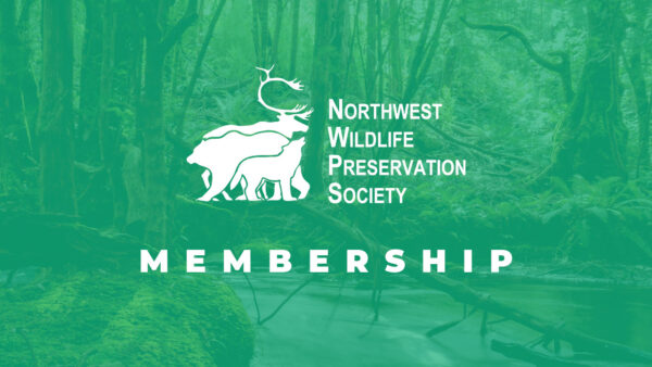Membership - Northwest Wildlife Preservation Society